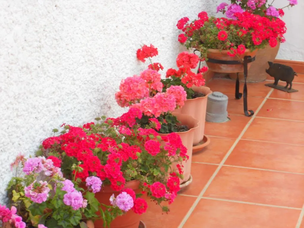 Casa Anna Apartment Álora